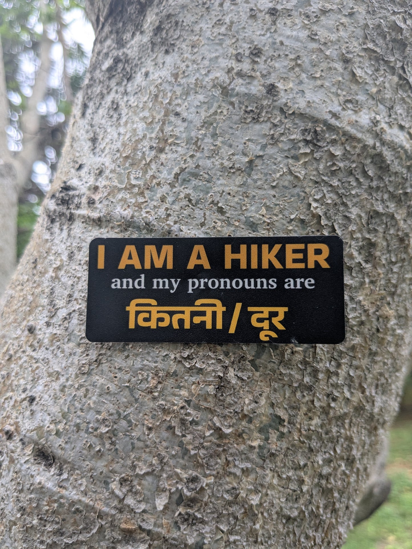 Hiker Pronouns
